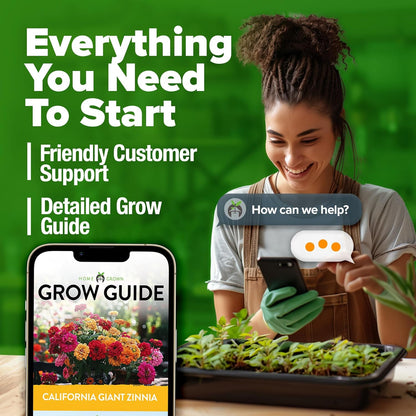 Home Grown | Premium Rainbow Zinnia Flower Seeds