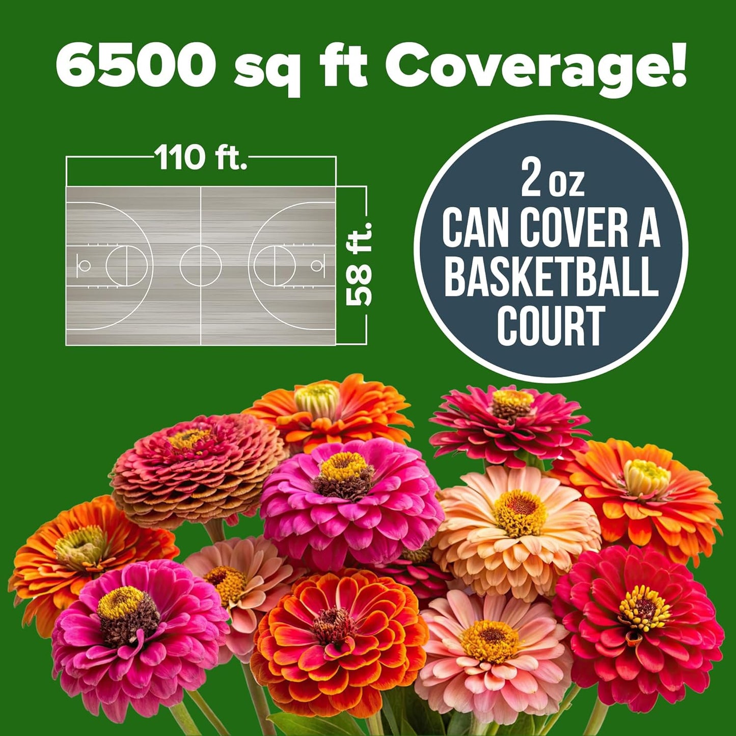 Home Grown | Premium Rainbow Zinnia Flower Seeds